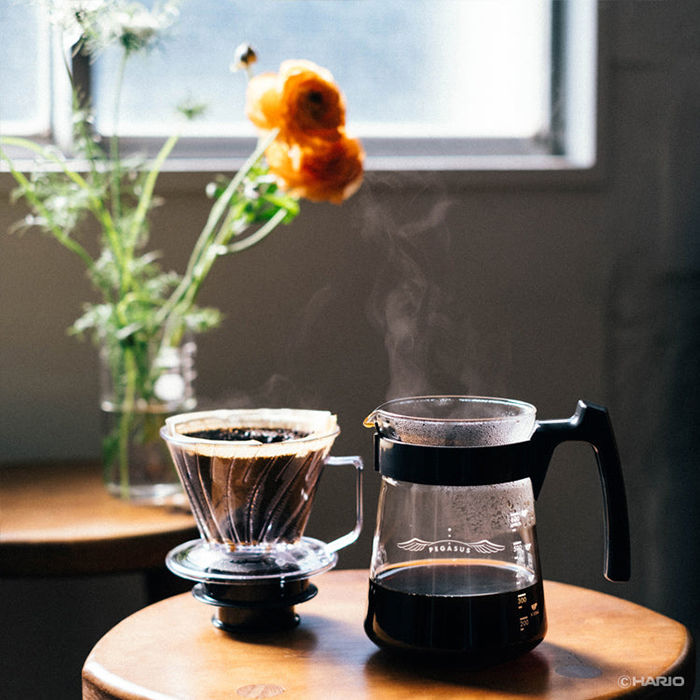 hario pegasus coffee set serving