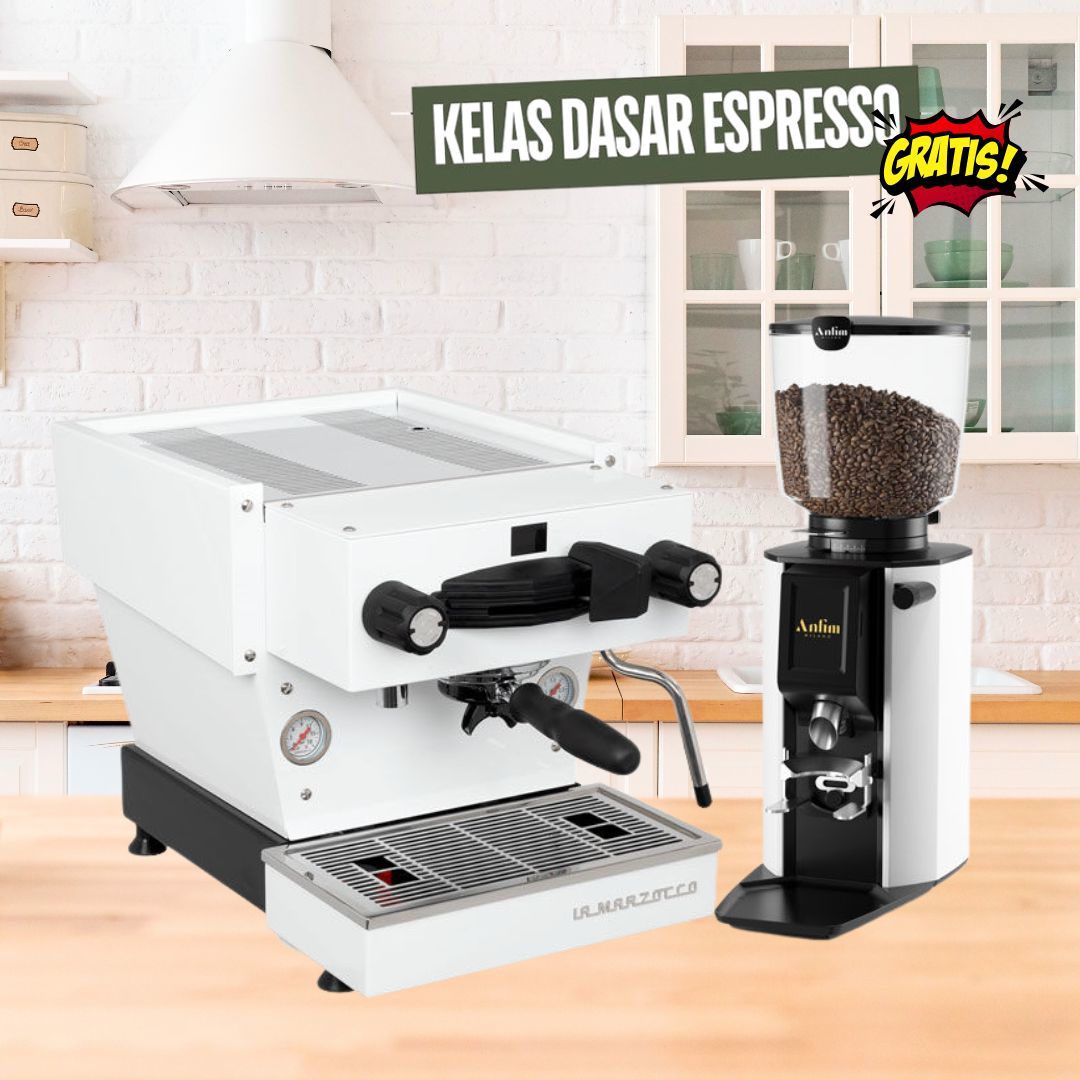 La Marzocco Linea Mini R + Anfim Luna